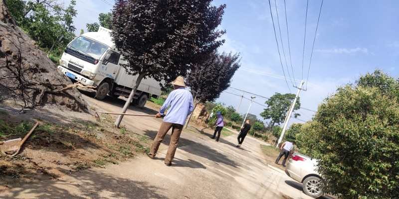 大家齐心协力 发生地址:庄里镇山西村 内       容:山西村民义务除草