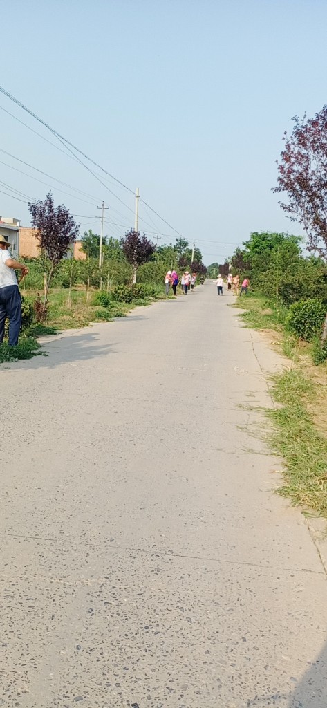 薛镇盘石村环境卫生大整治-富平县新时代文明实践中心