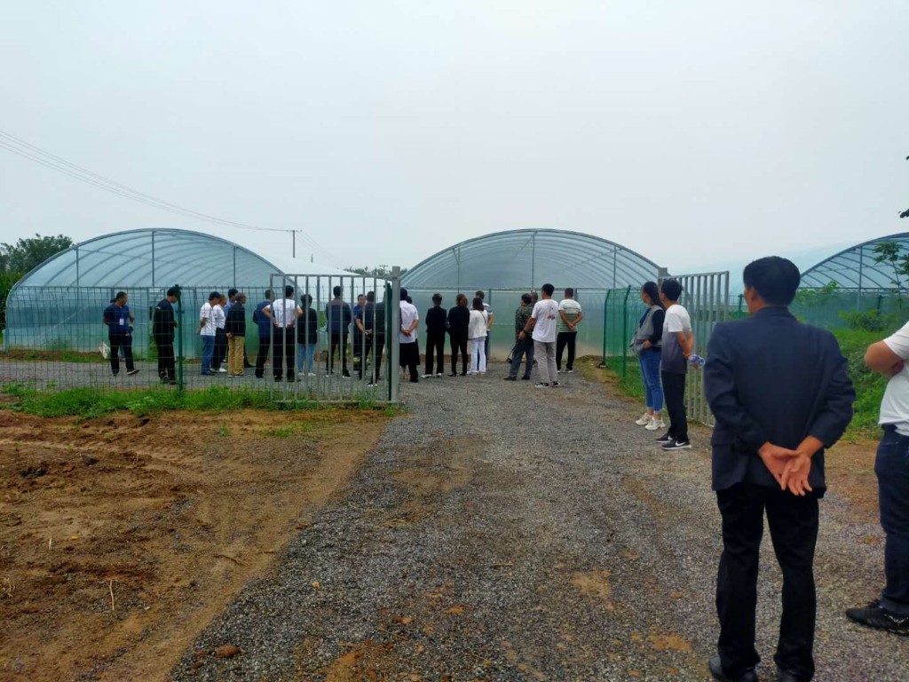 美原镇人代表观摩大棚-富平县新时代文明实践中心