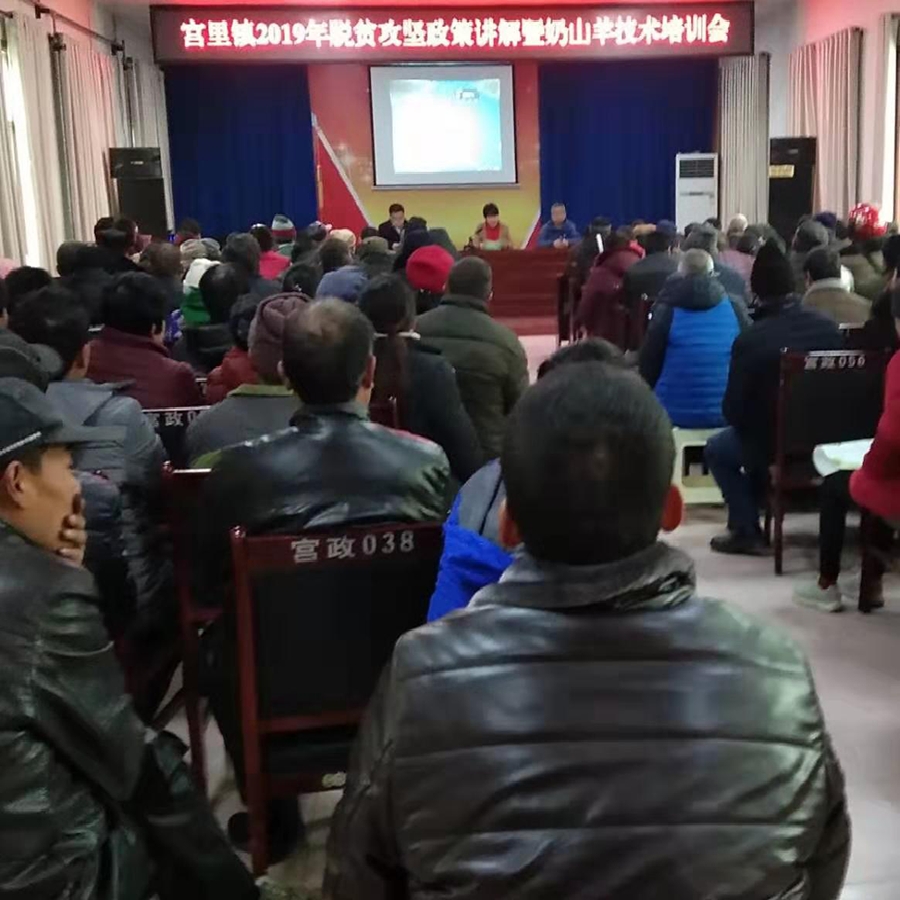 图片8.png