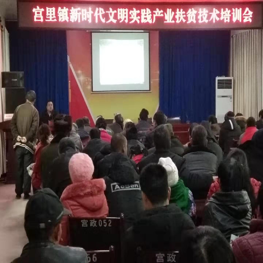 图片9.png